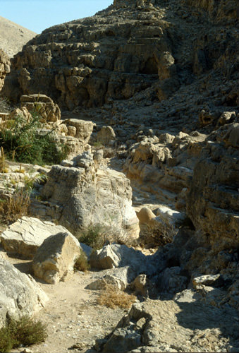 Israel, gorge in Wadi Qilt