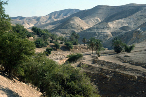 Israel, oasis in Wadi Qilt