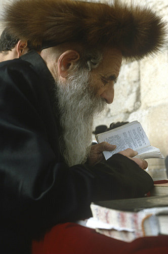 Hasidic Jew reading prayer book, Jerusalem, Israel