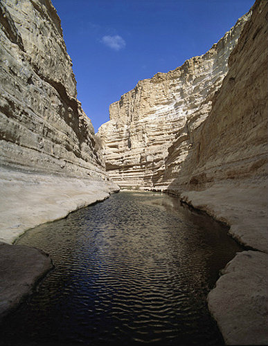 Israel, Advat, Wadi Zin, lower pools