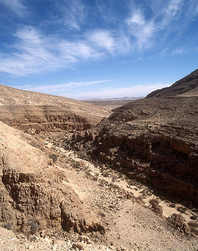 Israel, Mamshit, Nabataean city in the Negev, view along Wadi Kurnub to the south east