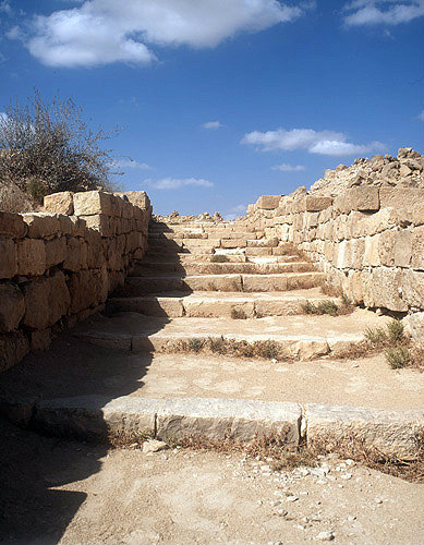 Israel, Shivta, steps near the southern church