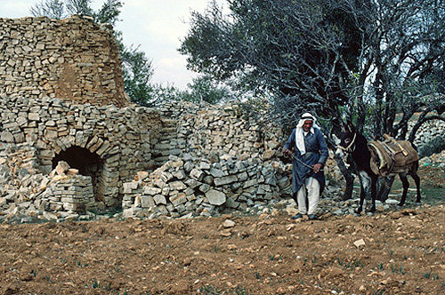 Israel,Samaria, watch tower and Arab farmer in Samaria