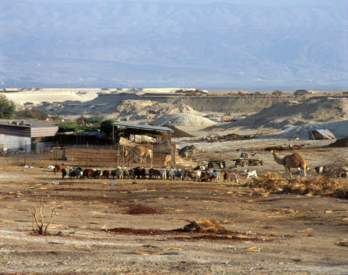Israel farmstead belonging to Gerasimos Monastery in the Jordan Valley,  Hills of Moab behind
