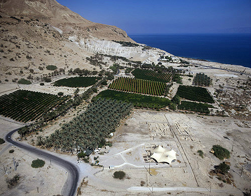 Israel, Ein Gedi, aerial view of excavations, palmery, citrus groves and the Dead Sea