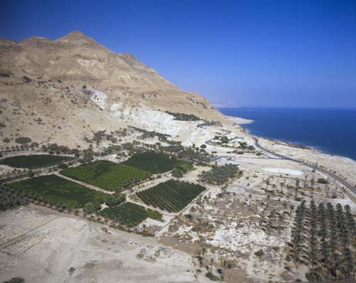 Ein Gedi ruins, aerial view, bottom left palm grove and fruit trees, Israel