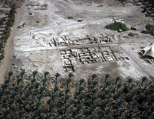Israel, Ein Gedi, aerial view of excavations and palmery on the shore of the Dead Sea
