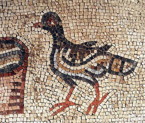 Israel, Kursi, Byzantine monastery, floor mosaic of pigeon, north side of the Basilica
