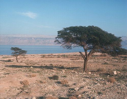 Dead Sea looking east to Hills of Moab in Jordan, Israel