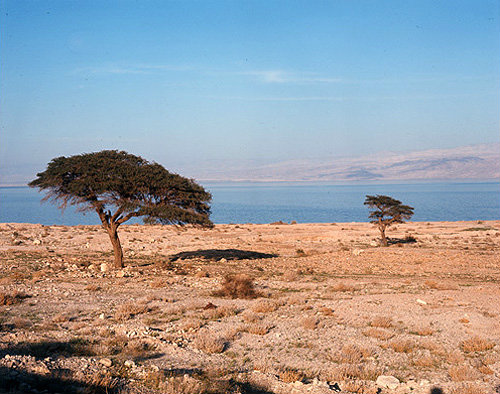 Israel, the Dead Sea looking east to the Hills of Moab in Jordan