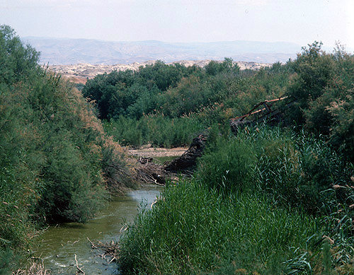 Israel, the River Jordan looking east near the Allenby Bridge