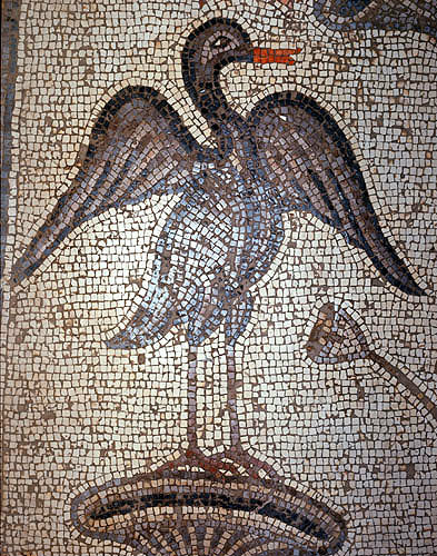Israel, Galilee, mosaic of a black cormorant in the Byzantine Church at Tabgha 6th century