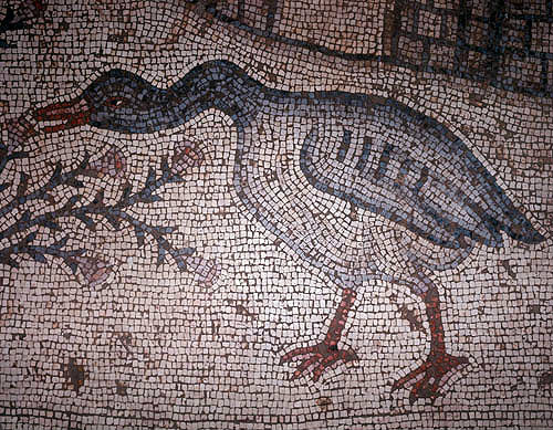 Israel, Galilee, sixth century mosaic of a goose in Byzantine church at Tabgha