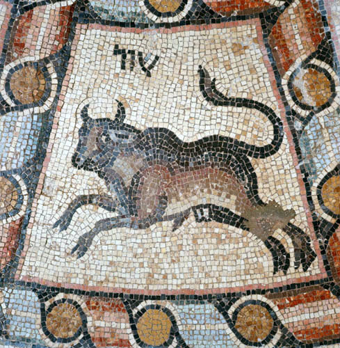 Israel Hammath south of Tiberias Taurus from a 4th century mosaic of the signs of the zodiac in the synagogue