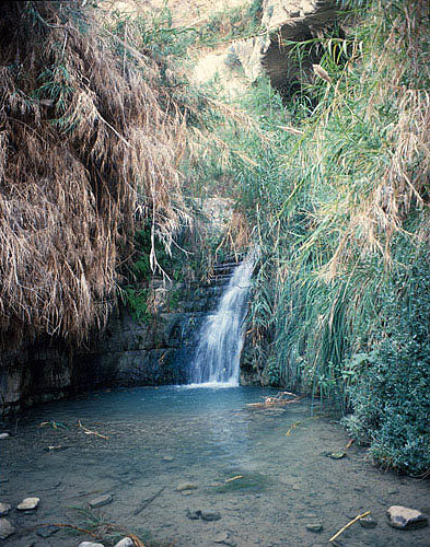 Israel, Davids Spring at Ein Gedi in the Judean Hills overlooking the Dead Sea