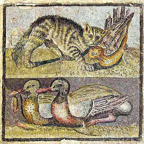 Cat and bird above, ducks below, third century National Roman Museum, Palazzo Massimo, Rome, Italy