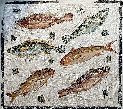 Fish, three species, two of each, third century National Roman Museum, Palazzo Massimo, Rome, Italy