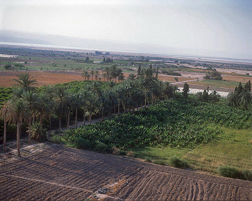 Farmland, aerial photograph, Ghor al-Safi, Jordan, lowest land on earth