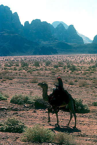 Man on a camel, Wadi Rum, Jordan
