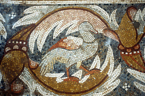 Bird, mosaic in Church of Holy Apostles, Madaba, Jordan