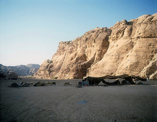 Amarin Bedouin tents, El Baidha Bedouin village, near Petra, Jordan