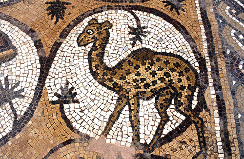 Spotted camel, 6th century AD, north aisle, Byzantine church, Petra, Jordan