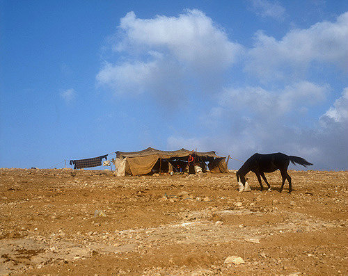 Bedouin tent and horse near Madaba, Jordan
