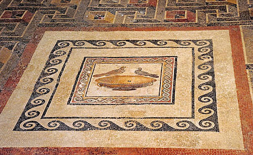 Mdina, Roman domus, mosaic of the birds central panel, first century, Malta