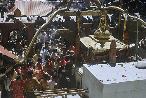 Buddhist temple, place of animal sacrifice (still performed by marginal Buddhists or quasi-Buddhists), Nepal