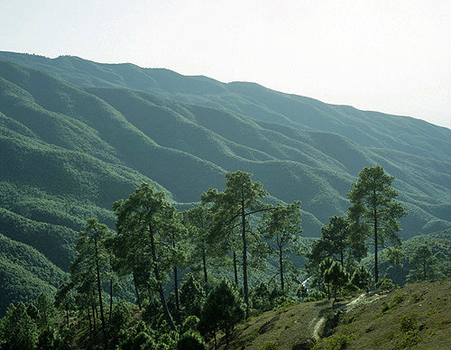 Undulating hills between Kathmandu and Nagarkot, Nepal