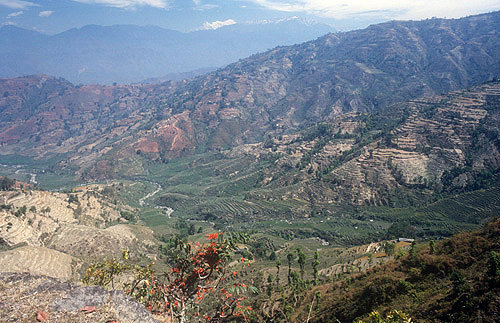 Terracing, Nepal