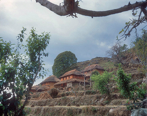 Hill houses and terraces, Pokhara, Nepal