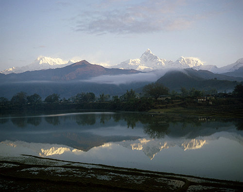 Annapurna south, Lake Phewa, Machapuchare and Annapurna 3,  paddy fields in foreground, Pokhara, Nepal