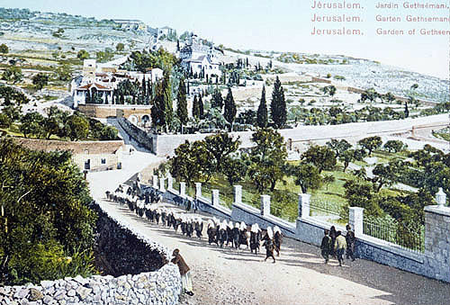 Crocodile of school girls walking towards the Garden of Gethsemane, circa 1906, old postcard, Jerusalem, Palestine