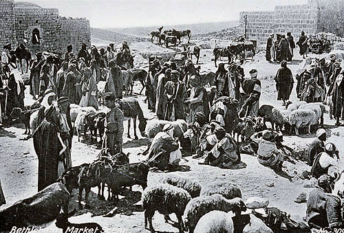 Livestock market scene, circa 1906, old postcard, Bethlehem, Palestine