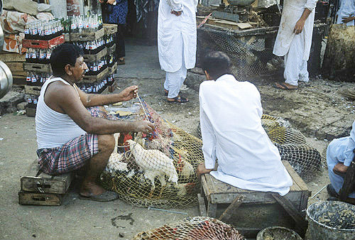Pakistan, Dir, street trader