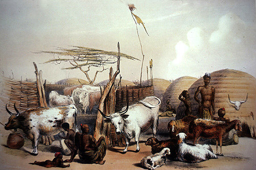 South Africa, Durban, Zulu Kraal on Umgani by G F Angas, 1849 Killie Campbell Africana Library