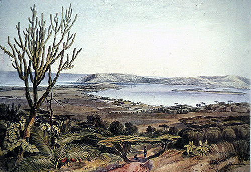 South Africa, Durban, Port Natal Durban from the Berea by G F Angas 1849 in the Killie Campbell Africana Library