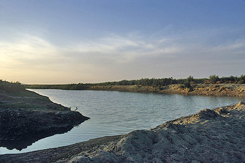 Syria, irrigation channel, River Euphrates at al-Hardaneh