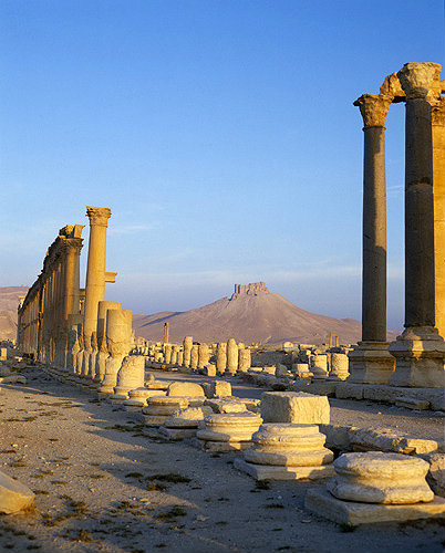 Syria, Palmyra, sunrise over the ruins, a Roman colonnaded street and 16th century Arab Castle