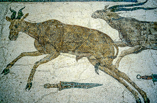 Hartebeeste and antelope, third century, Roman mosaic, Sousse Museum, Sousse, Tunisia