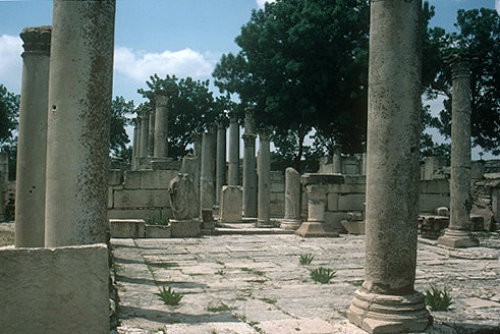 Basilica of Scola Juvenus, Maktar (ancient Mactaris) Tunisia