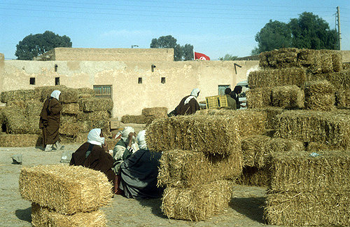 The straw market, Douz, Tunisia