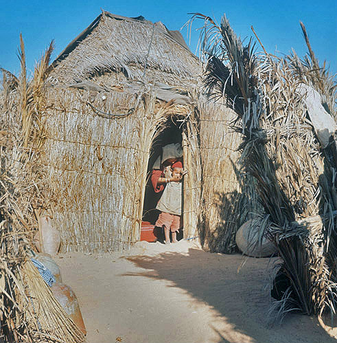 Bamboo dwellings, Island of Djerba, Tunisia