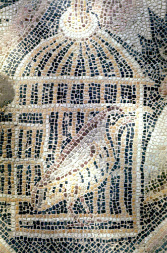 Partridge in cage, detail from fith century floor mosaic in the Great Church, Mopsuestia (Misis), Cilicia, Turkey