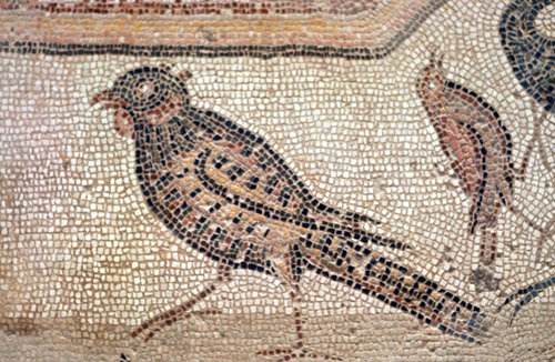 Pheasant, detail from fifth century floor mosaic in the Great Church, Mopsuestia (Misis), Cilicia, Turkey