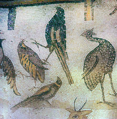 Four birds, detail from fifth century floor mosaic in great church at Mopsuestia (Misis), Cilicia, Turkey