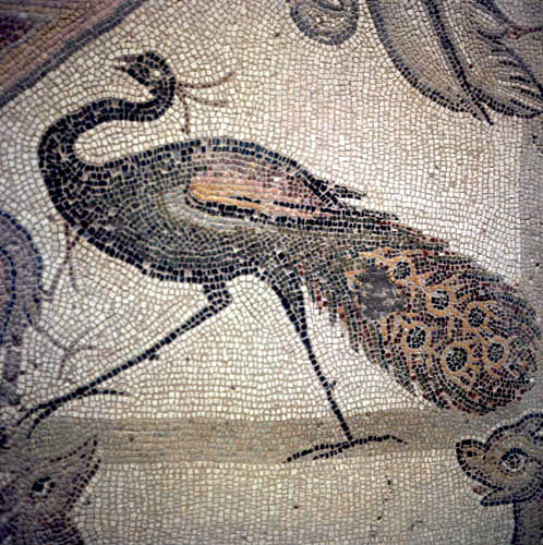 Peacock, detail from fifth century floor mosaic in the Great Church, Mopsuestia (Misis), Cilicia, Turkey