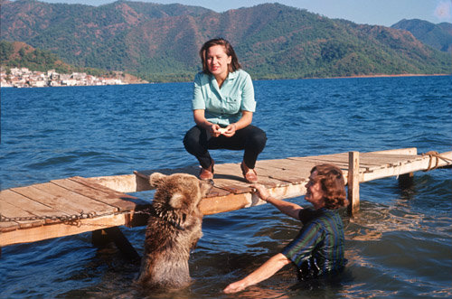 Turkey, Marmaris, swimming with a young bear
