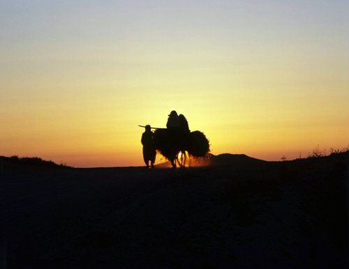 Turkey, Cappadocia,  family returning home at sunset